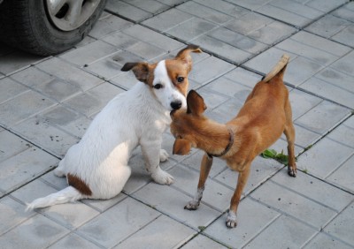 DSC_1021.jpg 1.jpg
