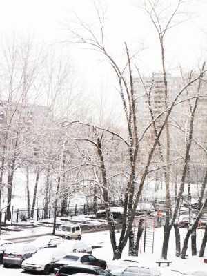 2_Первый снег_5 ноября_2012.JPG