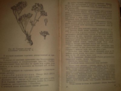 040120151270.jpg